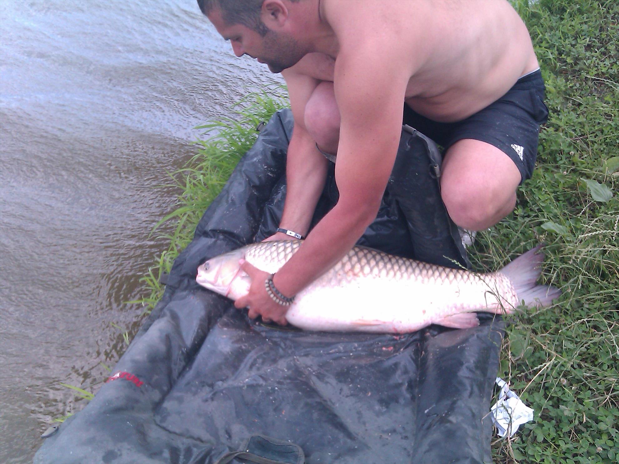 peste - picture-009.jpg